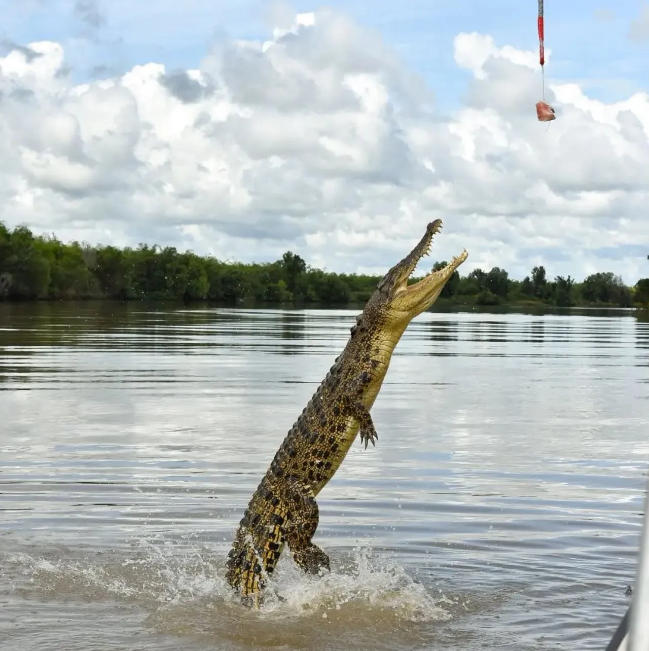 Are There Local Tips on the Best Time to Photograph Croc Jumps on a Jumping Crocodile Cruise?
