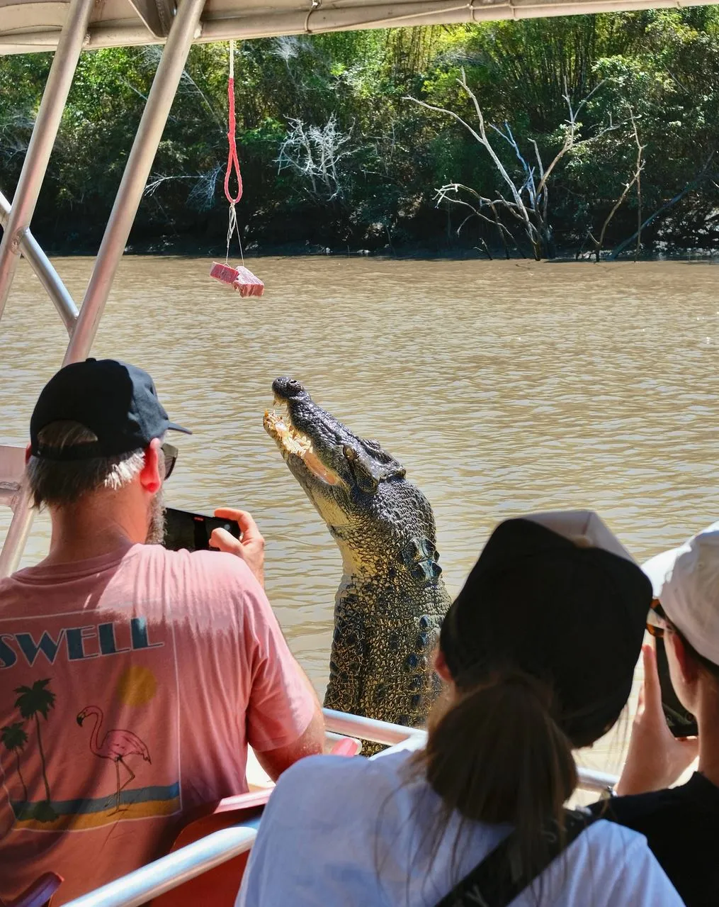 The Chocolate Moose MT | Are There Local Tips on the Best Time to Photograph Croc Jumps on a Jumping Crocodile Cruise? Camera Settings for Croc Shots