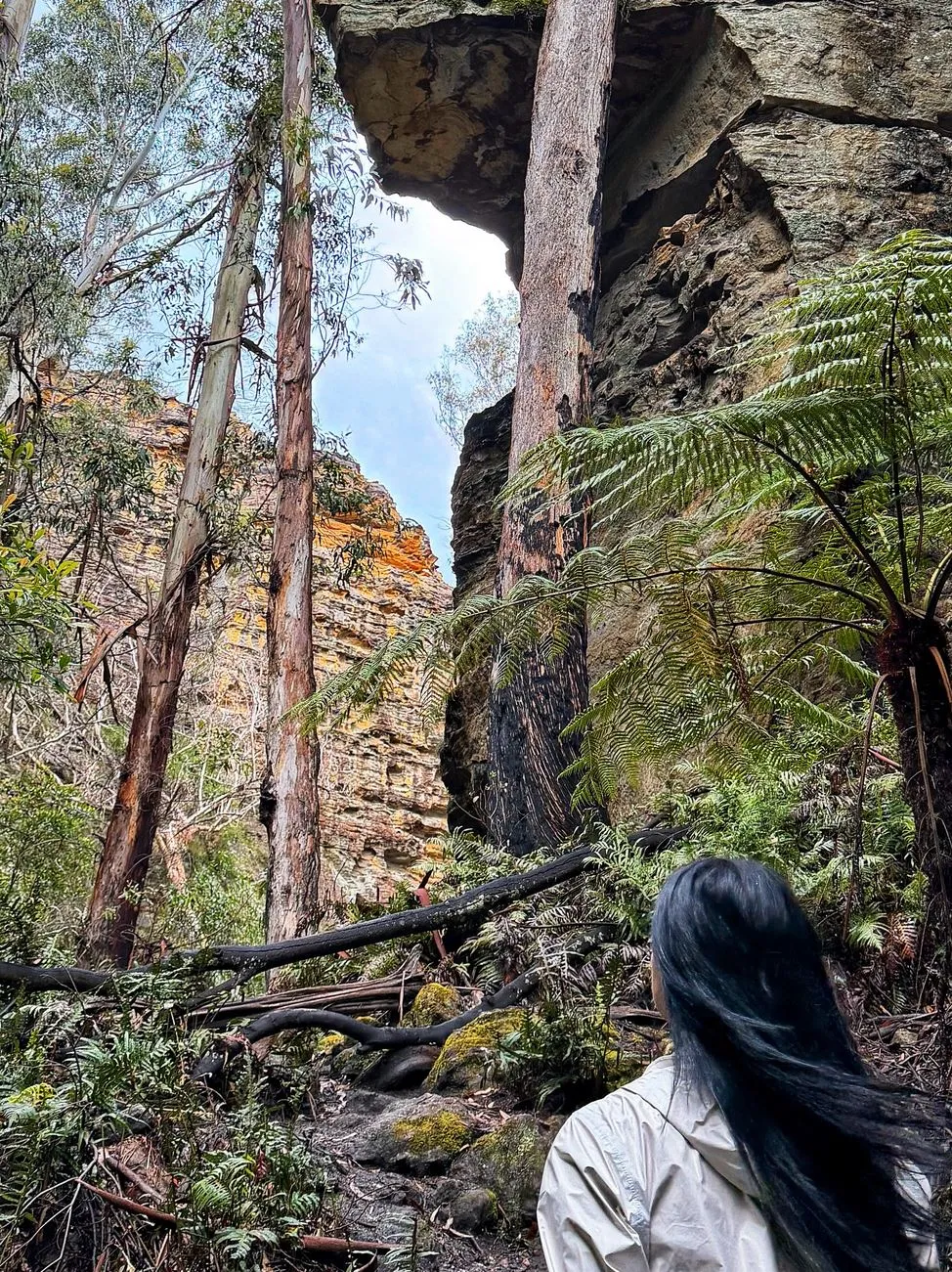 The Chocolate Moose MT | 10 Common Mistakes First-Time Visitors Make in the Blue Mountains Check the Rules and Seasonal Flows
