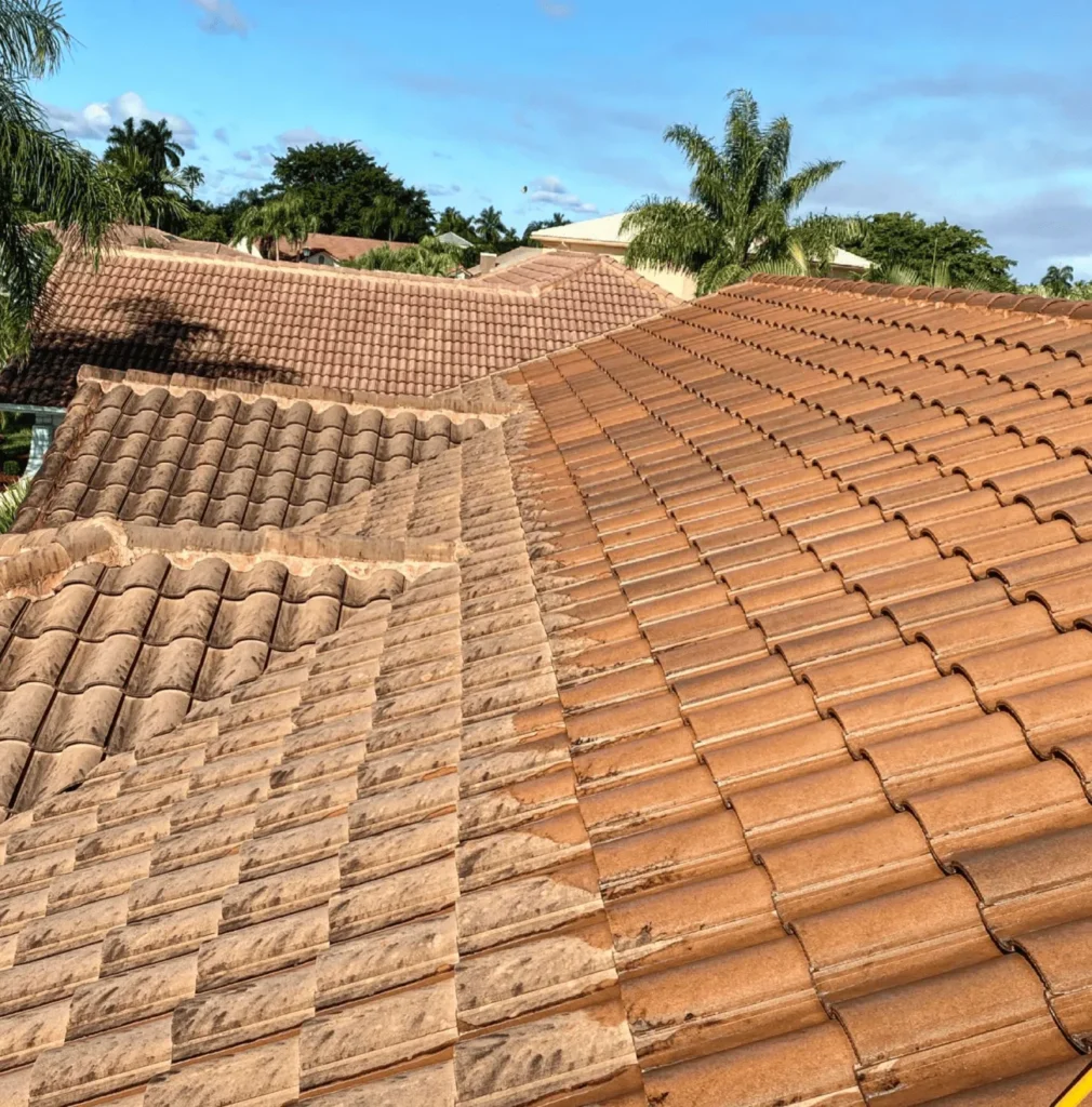 Cost Savings roof Cleaning