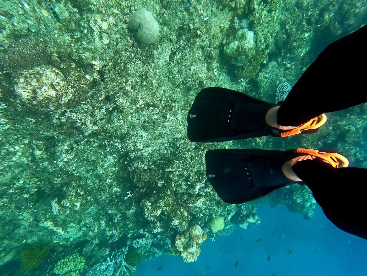 Hastings Reefs