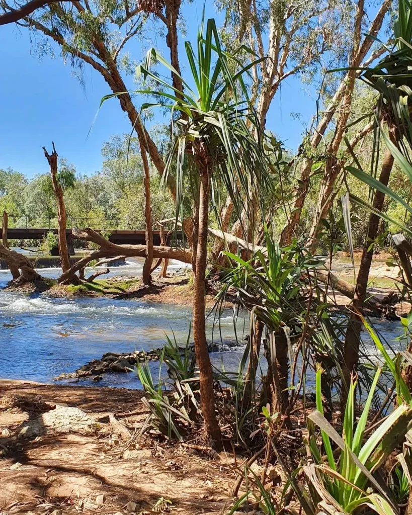 Low-Level Nature Reserve