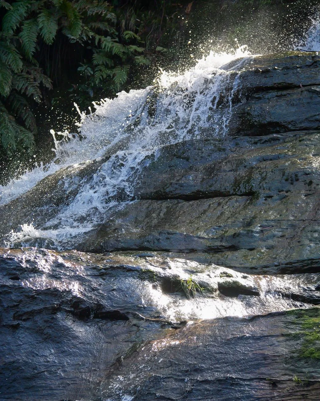 The Chocolate Moose MT | 10 Common Mistakes First-Time Visitors Make in the Blue Mountains Not Booking Accommodation Early