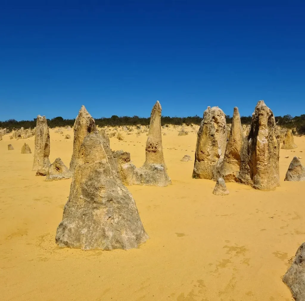 Pinnacles tours