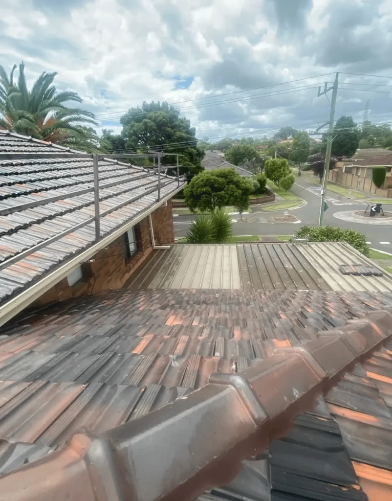 Roof Cleaning Frequency by Climate