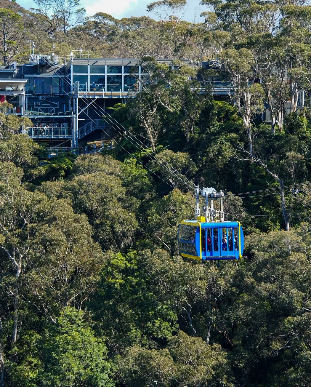 The Chocolate Moose MT | 10 Common Mistakes First-Time Visitors Make in the Blue Mountains Thinking All Bushwalks Are Safe By Default