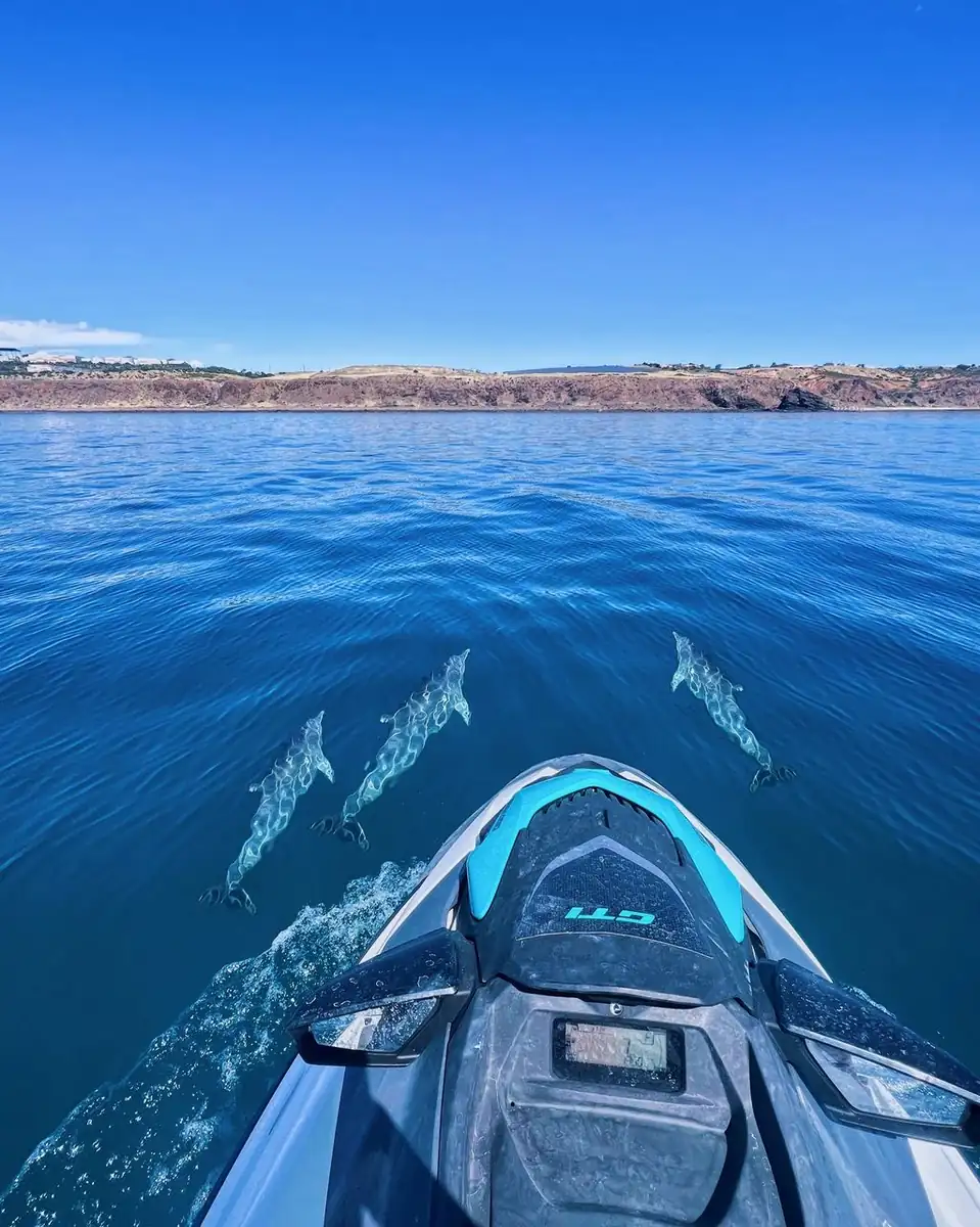 Tropical Island Jet Ski Tour in Surfers Paradise
