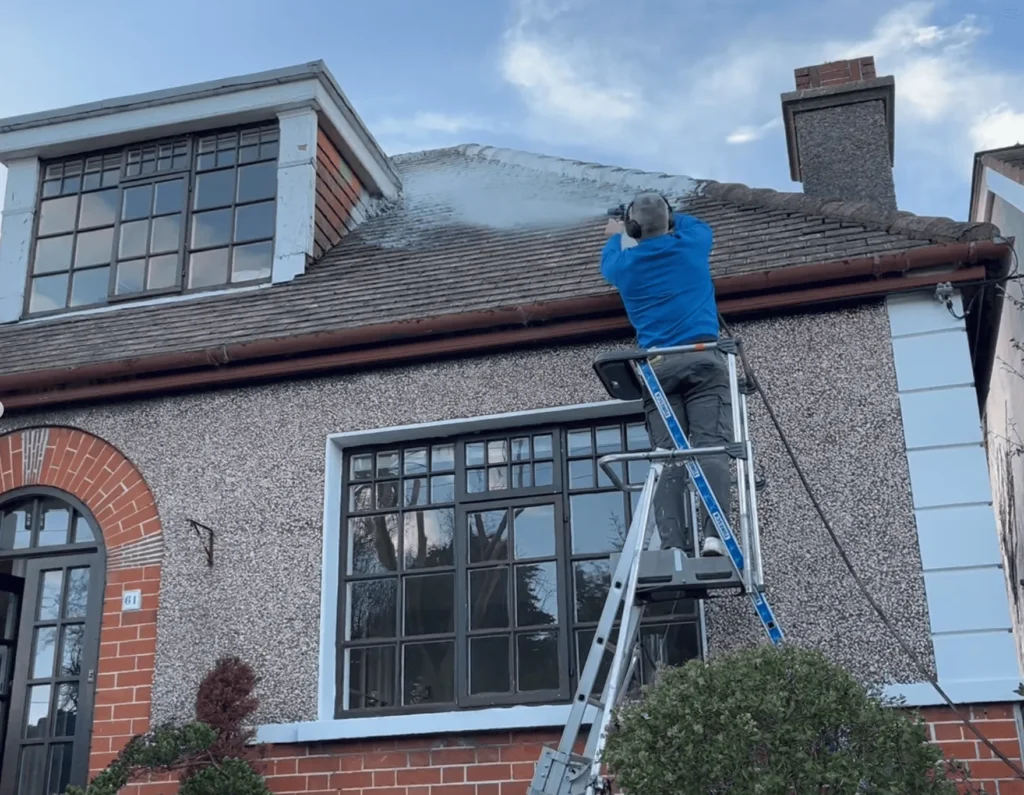 Why Hire Professional Roof Cleaners