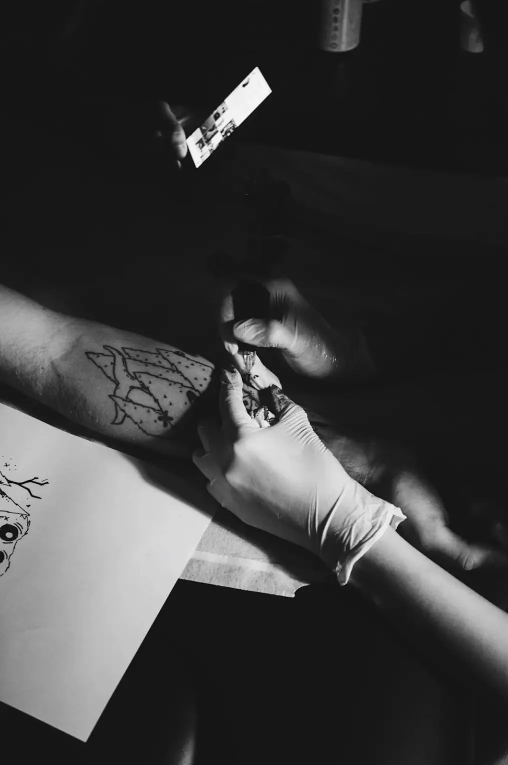 The Chocolate Moose MT | Is It Illegal To Tattoo Without A License In Australia? how to get a tattoo license in australia