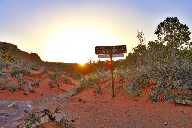 Embark on a Thrilling 3-Day Adventure to Uluru