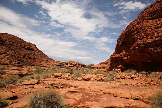 Discover the Beauty of Alice Springs: Memorable Outback Excursions