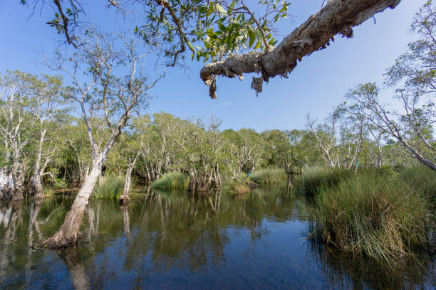 Explore the Wonders of Litchfield National Park on a Full-Day Tour