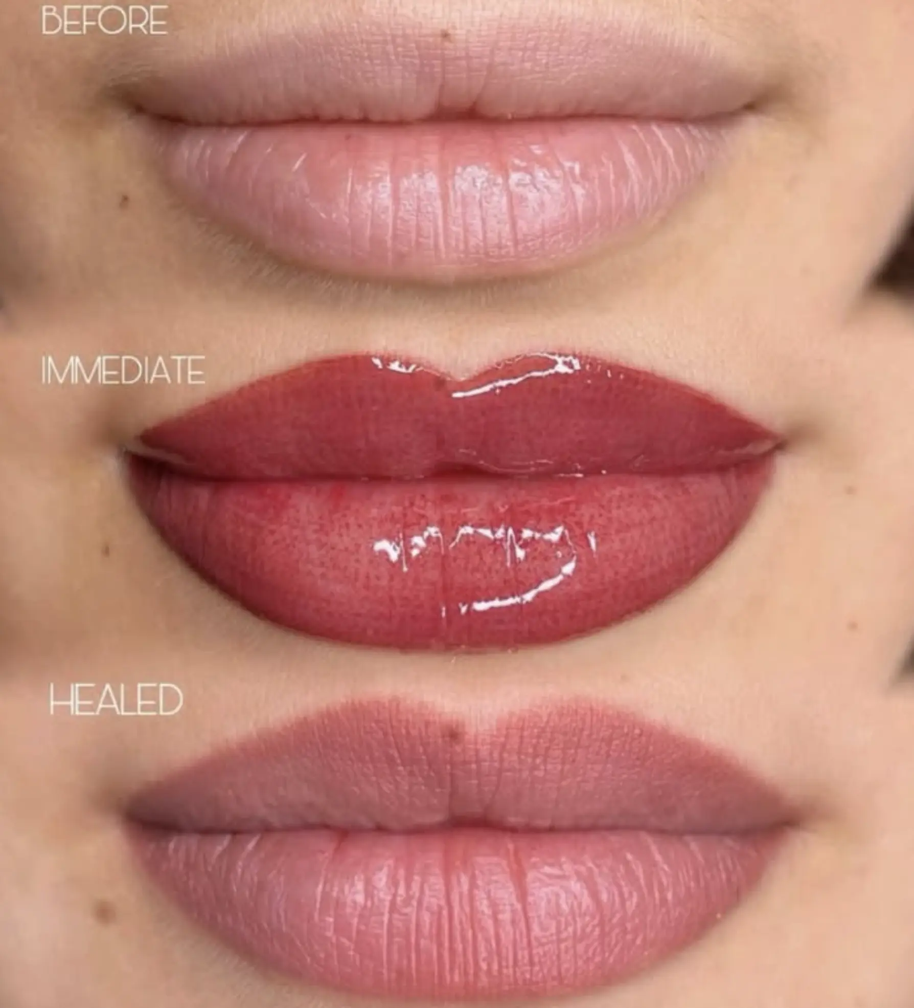 The Chocolate Moose MT | Is A Lip Tattoo A Bad Idea? kmart lipstick