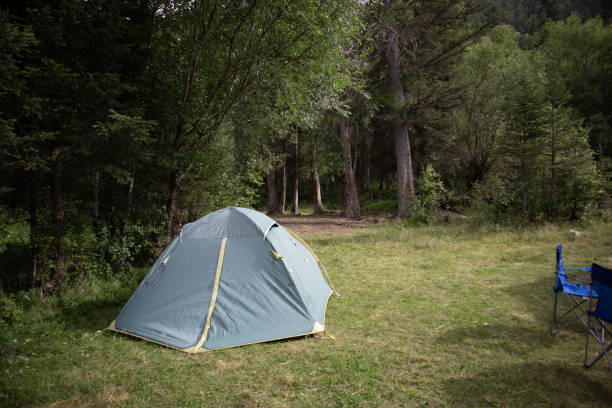 Top 5 Captivating Camping Spots Near Sydney | Outdoor Adventure Awaits