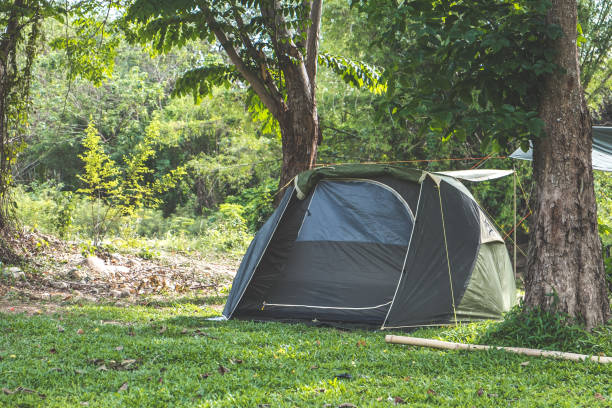 Prime Camping Locations in the North of Sydney